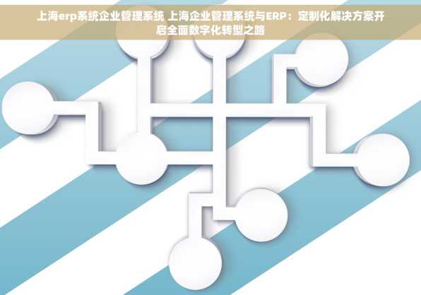 上海erp系统企业管理系统 上海企业管理系统与ERP：定制化解决方案开启全面数字化转型之路