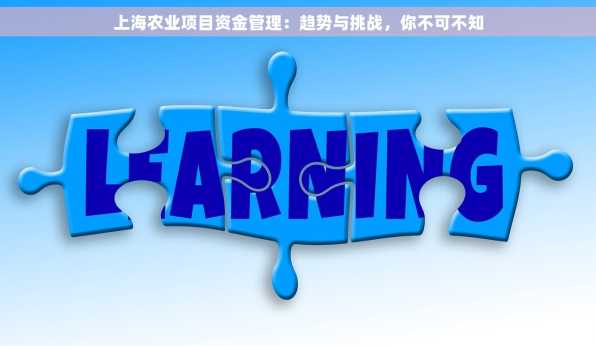 上海农业项目资金管理：趋势与挑战，你不可不知