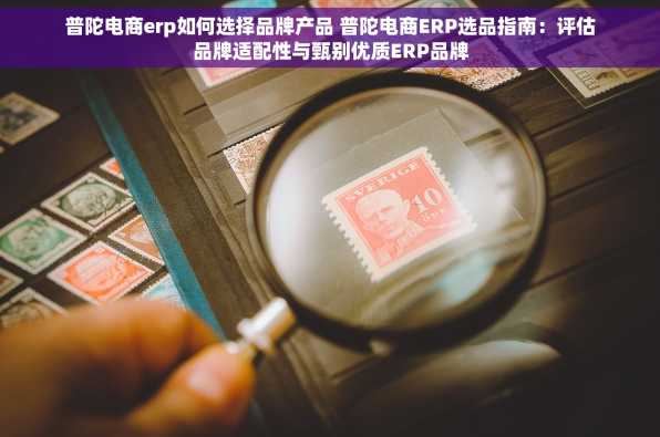 普陀电商erp如何选择品牌产品 普陀电商ERP选品指南：评估品牌适配性与甄别优质ERP品牌