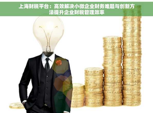 上海财税平台：高效解决小微企业财务难题与创新方法提升企业财税管理效率