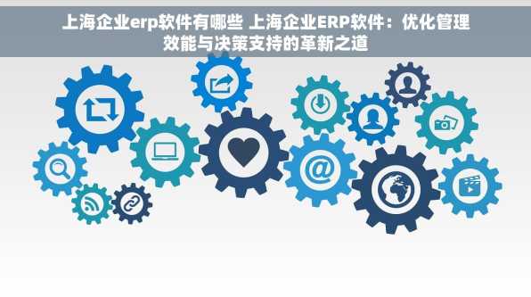 上海企业erp软件有哪些 上海企业ERP软件：优化管理效能与决策支持的革新之道