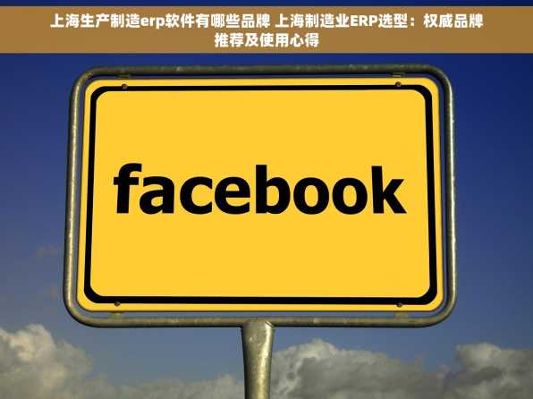上海生产制造erp软件有哪些品牌 上海制造业ERP选型：权威品牌推荐及使用心得