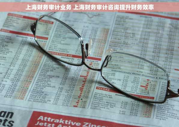 上海财务审计业务 上海财务审计咨询提升财务效率