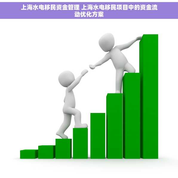 上海水电移民资金管理 上海水电移民项目中的资金流动优化方案