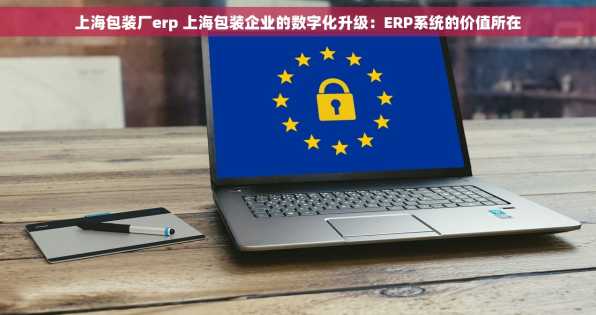 上海包装厂erp 上海包装企业的数字化升级：ERP系统的价值所在