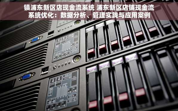 镇浦东新区店现金流系统 浦东新区店铺现金流系统优化：数据分析、管理实践与应用案例