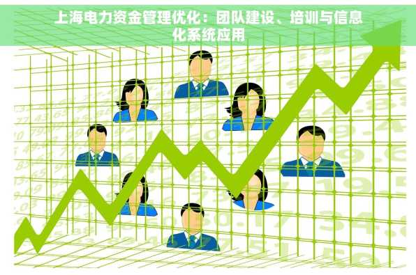 上海电力资金管理优化：团队建设、培训与信息化系统应用