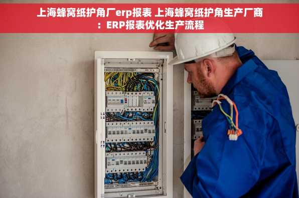 上海蜂窝纸护角厂erp报表 上海蜂窝纸护角生产厂商：ERP报表优化生产流程