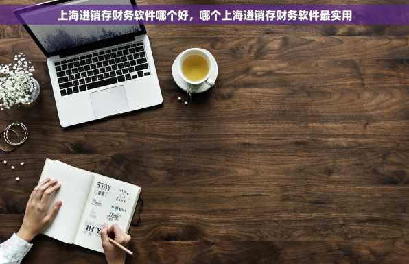 上海进销存财务软件哪个好，哪个上海进销存财务软件最实用
