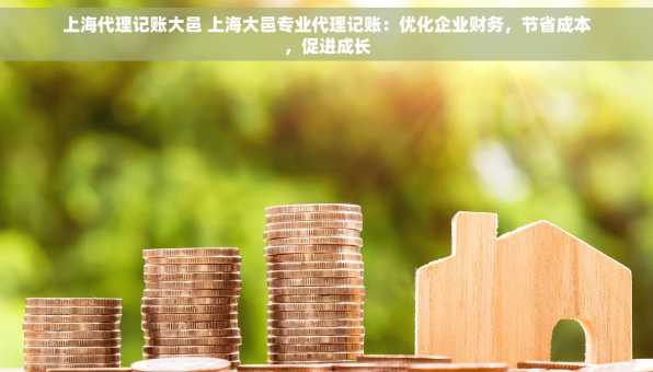 上海代理记账大邑 上海大邑专业代理记账：优化企业财务，节省成本，促进成长