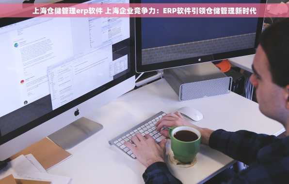 上海仓储管理erp软件 上海企业竞争力：ERP软件引领仓储管理新时代
