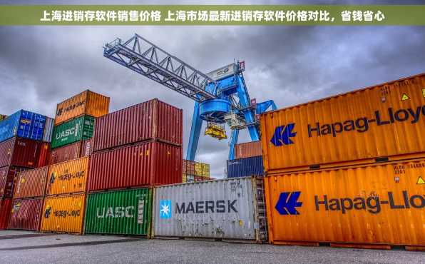 上海进销存软件销售价格 上海市场最新进销存软件价格对比，省钱省心