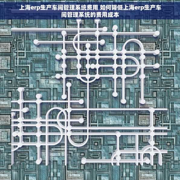 上海erp生产车间管理系统费用 如何降低上海erp生产车间管理系统的费用成本