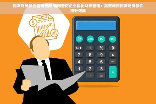用友财务软件朝阳普陀 朝阳普陀企业优化财务管理：高效利用用友财务软件提升效率