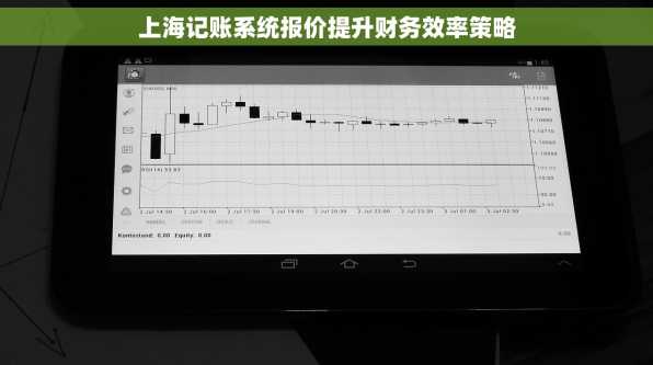 上海记账系统报价提升财务效率策略