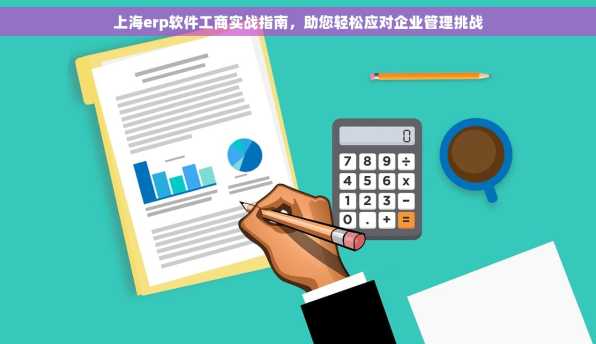 上海erp软件工商实战指南，助您轻松应对企业管理挑战