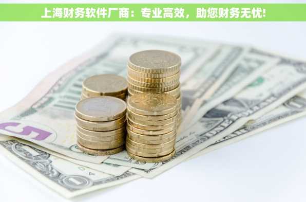 上海财务软件厂商：专业高效，助您财务无忧!