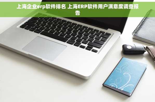 上海企业erp软件排名 上海ERP软件用户满意度调查报告