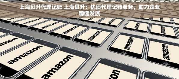 上海贝升代理记账 上海贝升：优质代理记账服务，助力企业稳健发展
