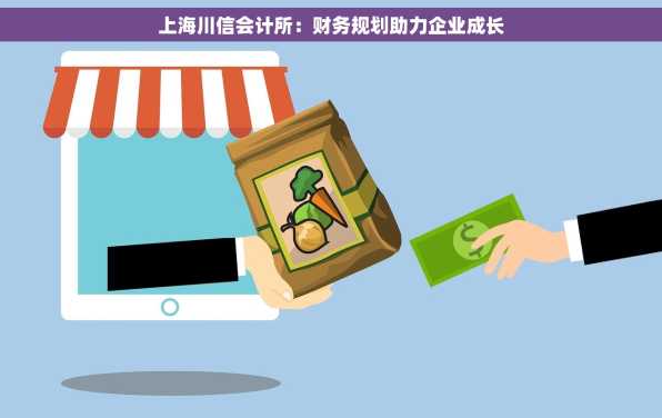 上海川信会计所：财务规划助力企业成长