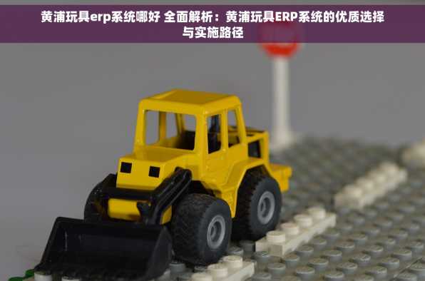 黄浦玩具erp系统哪好 全面解析：黄浦玩具ERP系统的优质选择与实施路径
