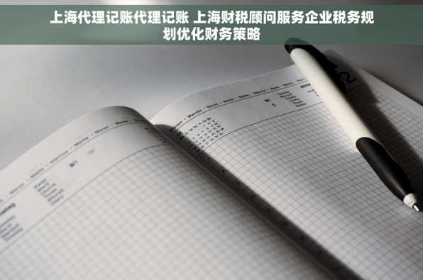 上海代理记账代理记账 上海财税顾问服务企业税务规划优化财务策略