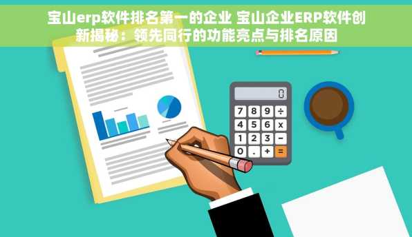 宝山erp软件排名第一的企业 宝山企业ERP软件创新揭秘：领先同行的功能亮点与排名原因