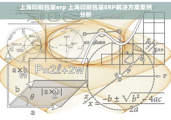 上海印刷包装erp 上海印刷包装ERP解决方案案例分析