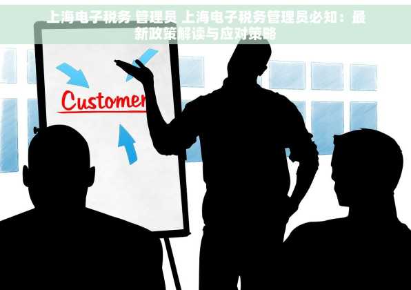 上海电子税务 管理员 上海电子税务管理员必知：最新政策解读与应对策略