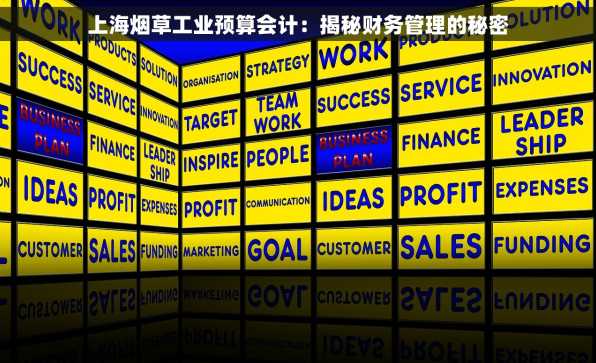 上海烟草工业预算会计：揭秘财务管理的秘密