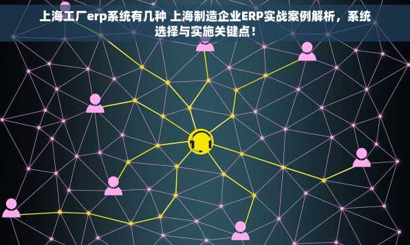 上海工厂erp系统有几种 上海制造企业ERP实战案例解析，系统选择与实施关键点！