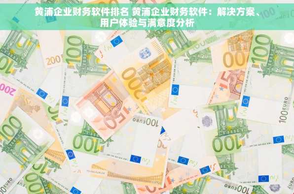 黄浦企业财务软件排名 黄浦企业财务软件：解决方案、用户体验与满意度分析