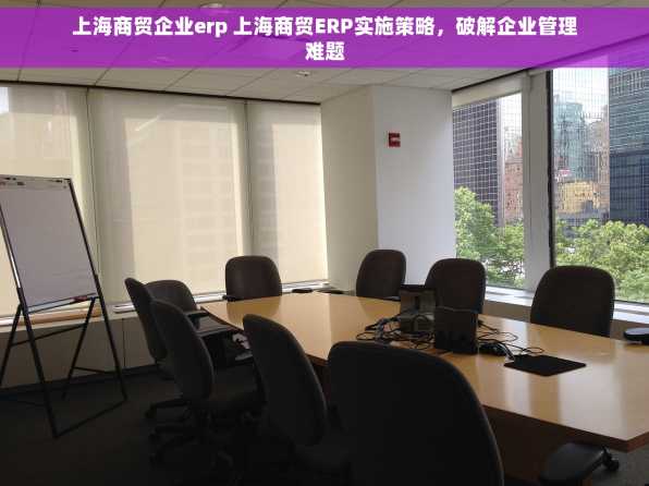 上海商贸企业erp 上海商贸ERP实施策略，破解企业管理难题