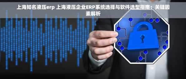 上海知名液压erp 上海液压企业ERP系统选择与软件选型指南：关键因素解析