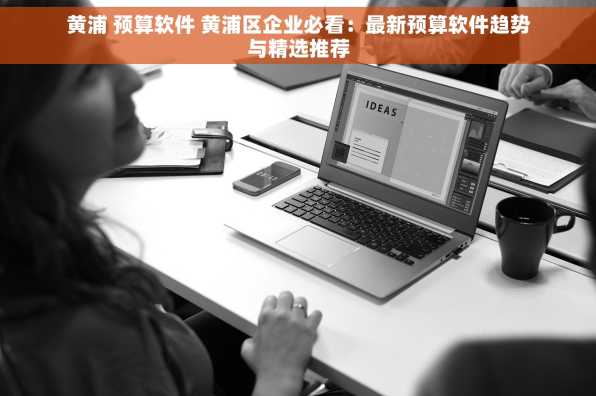 黄浦 预算软件 黄浦区企业必看：最新预算软件趋势与精选推荐