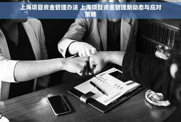 上海项目资金管理办法 上海项目资金管理新动态与应对策略