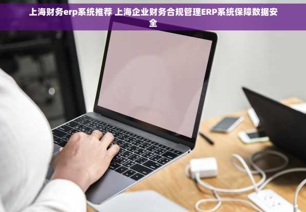 上海财务erp系统推荐 上海企业财务合规管理ERP系统保障数据安全
