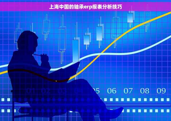 上海中国的轴承erp报表分析技巧