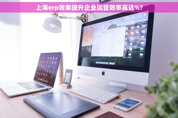 上海erp效果提升企业运营效率高达%?