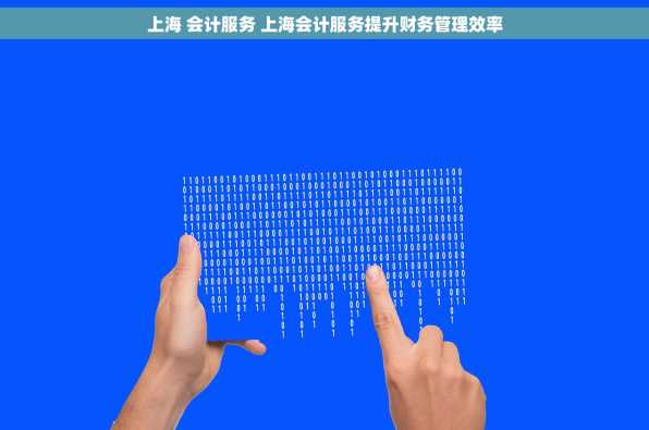上海 会计服务 上海会计服务提升财务管理效率