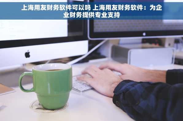上海用友财务软件可以吗 上海用友财务软件：为企业财务提供专业支持