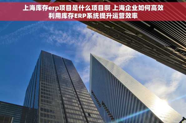 上海库存erp项目是什么项目啊 上海企业如何高效利用库存ERP系统提升运营效率