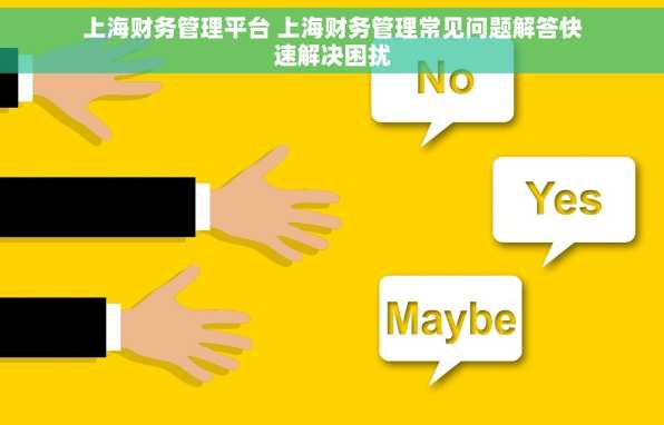 上海财务管理平台 上海财务管理常见问题解答快速解决困扰