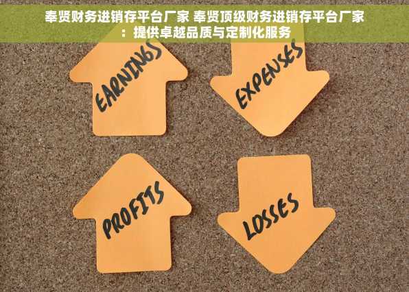 奉贤财务进销存平台厂家 奉贤顶级财务进销存平台厂家：提供卓越品质与定制化服务