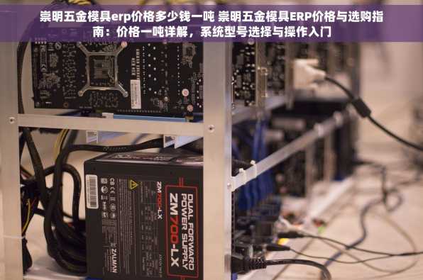 崇明五金模具erp价格多少钱一吨 崇明五金模具ERP价格与选购指南：价格一吨详解，系统型号选择与操作入门