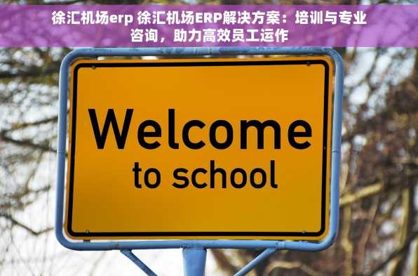 徐汇机场erp 徐汇机场ERP解决方案：培训与专业咨询，助力高效员工运作