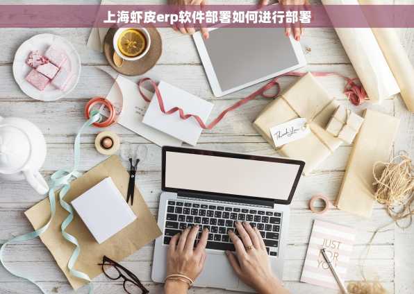 上海虾皮erp软件部署如何进行部署