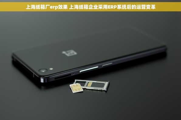 上海纸箱厂erp效果 上海纸箱企业采用ERP系统后的运营变革