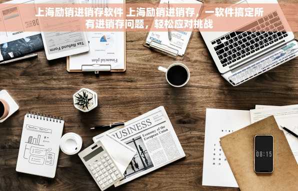 上海励销进销存软件 上海励销进销存，一软件搞定所有进销存问题，轻松应对挑战