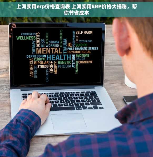 上海实用erp价格查询表 上海实用ERP价格大揭秘，帮你节省成本